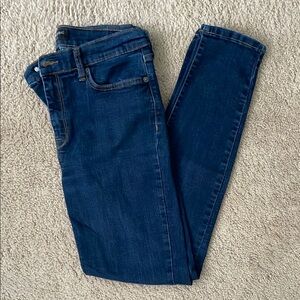 Banana Republic Blue Skinny Jeans